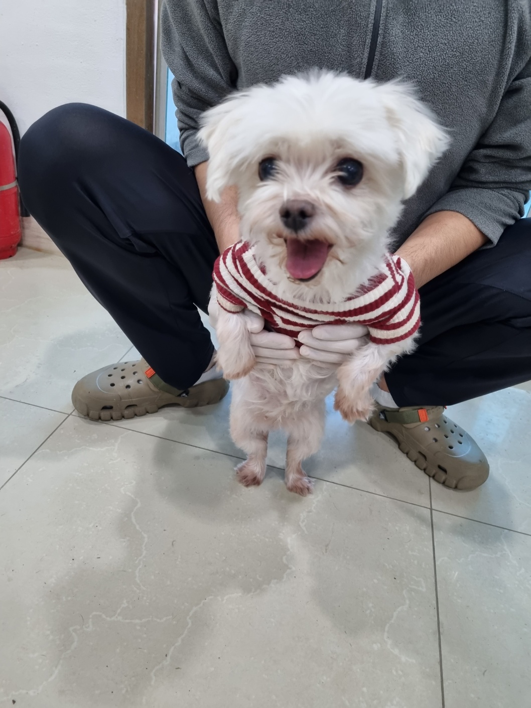반려동물보호센터_443571202300449