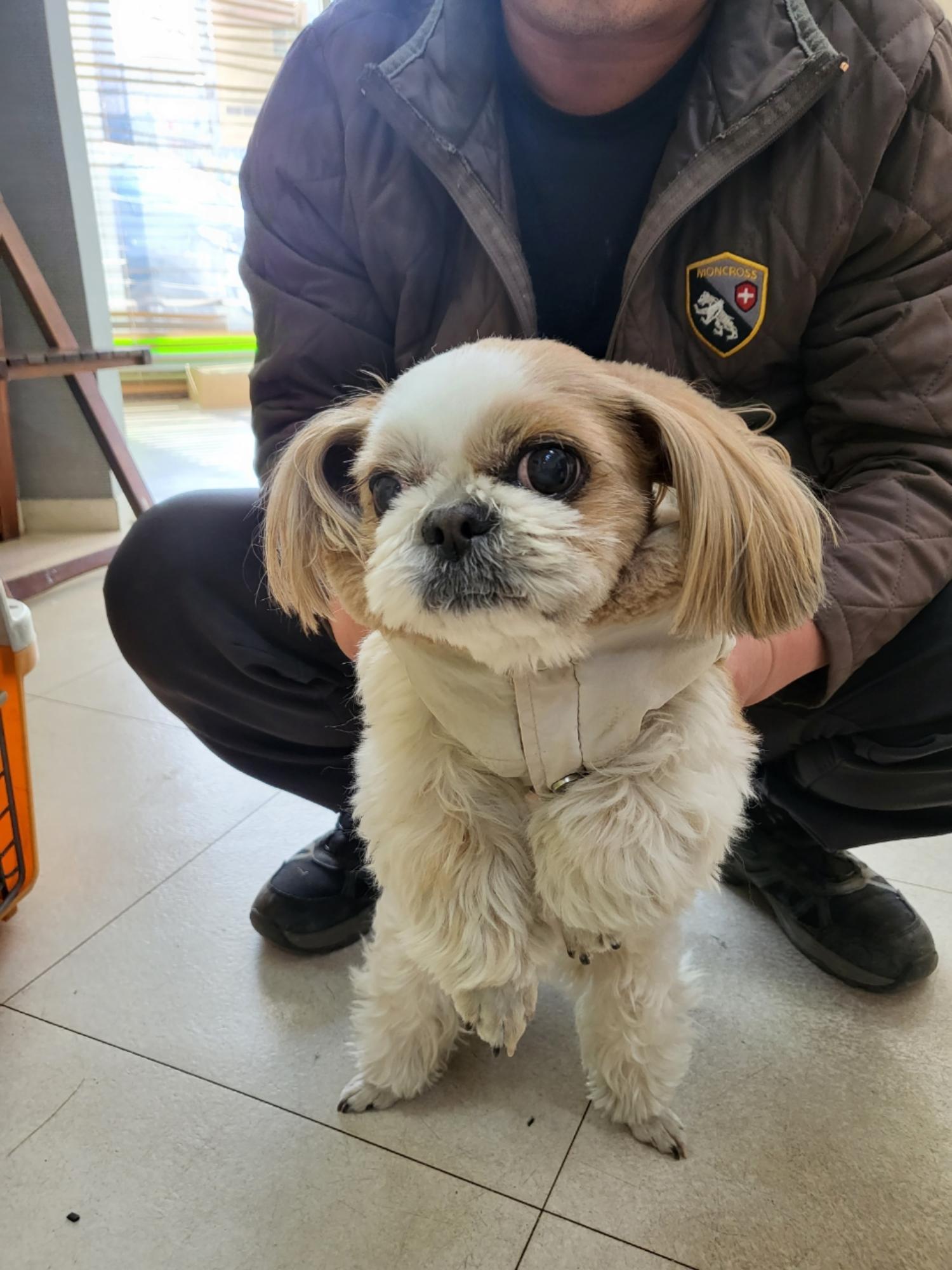 증평동물보호소_443557202300012