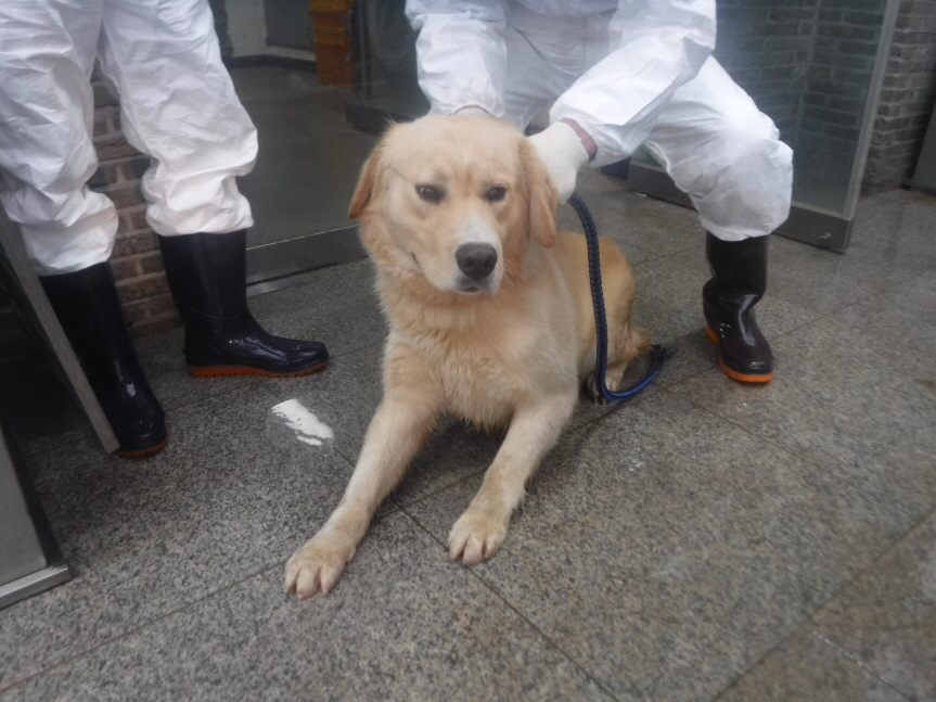 제주 동물보호센터_450650202300839