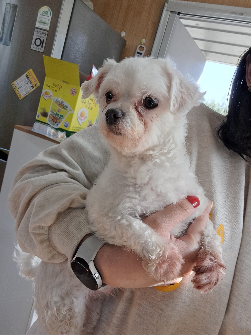 울산유기동물보호센터_431371202300113