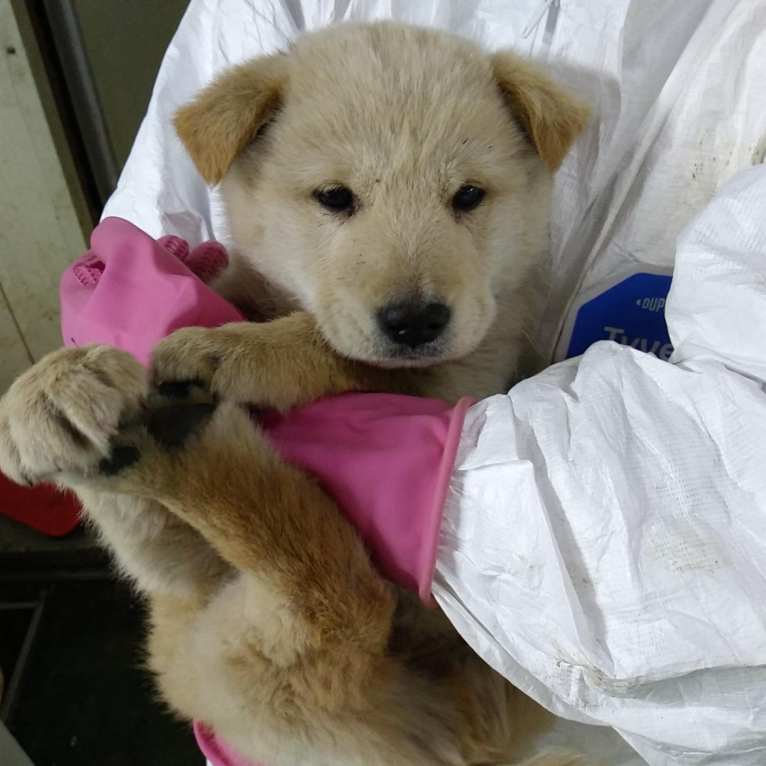인천광역시수의사회_428351202300099