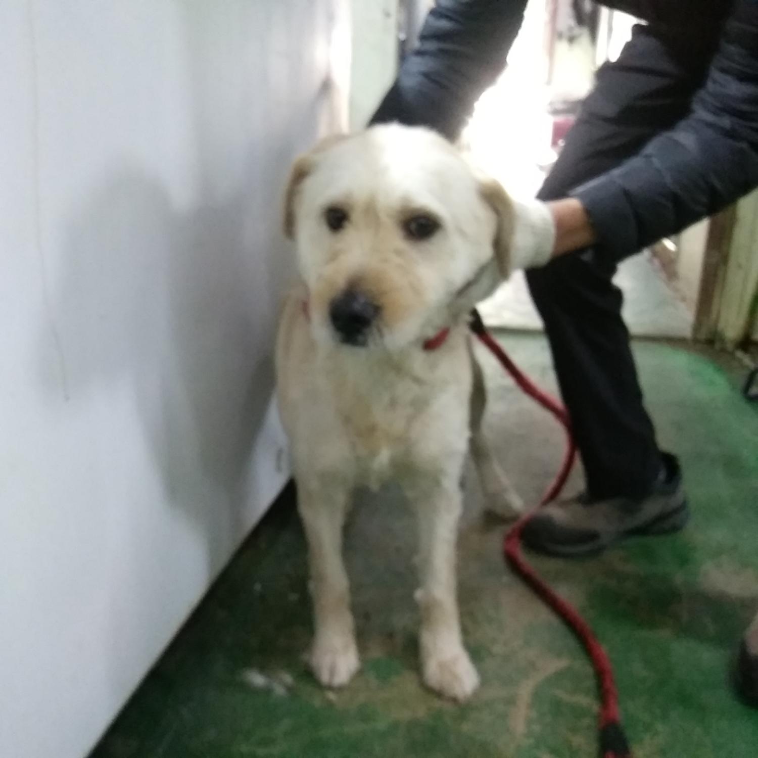 인천광역시수의사회_428351202300097
