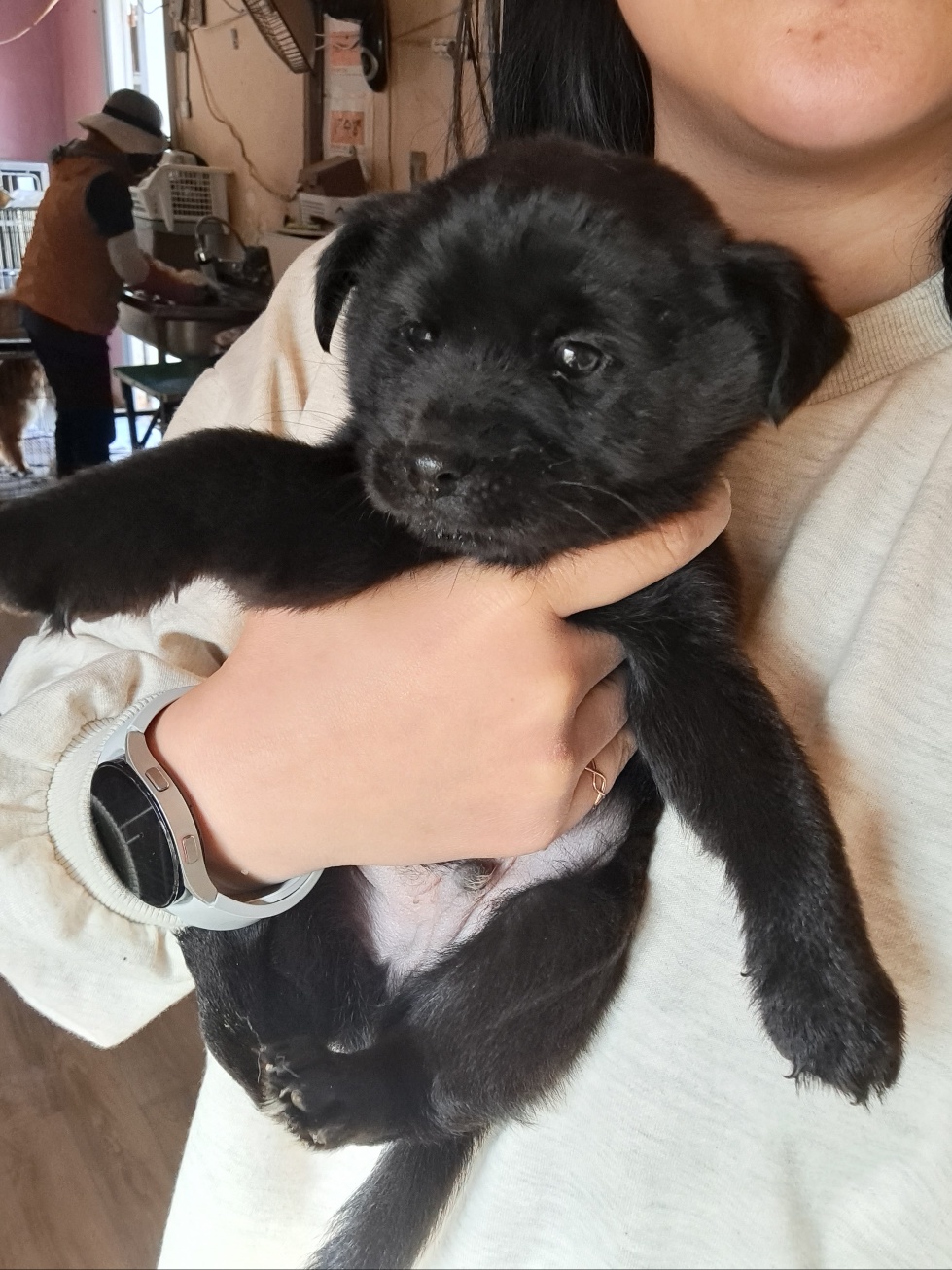 울산유기동물보호센터_431373202300211