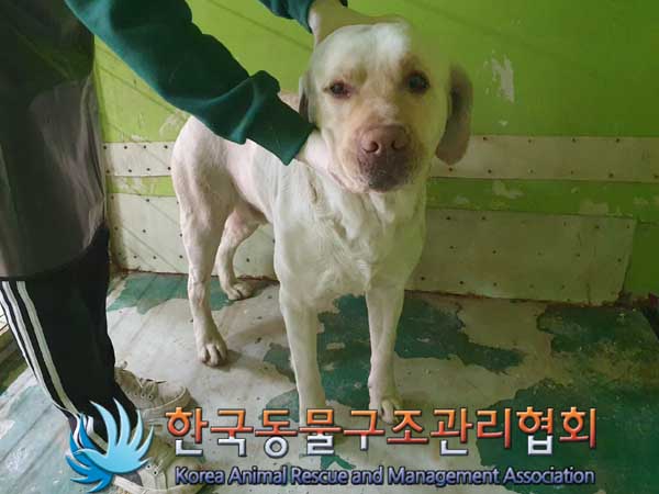 한국동물구조관리협회_441409202300308