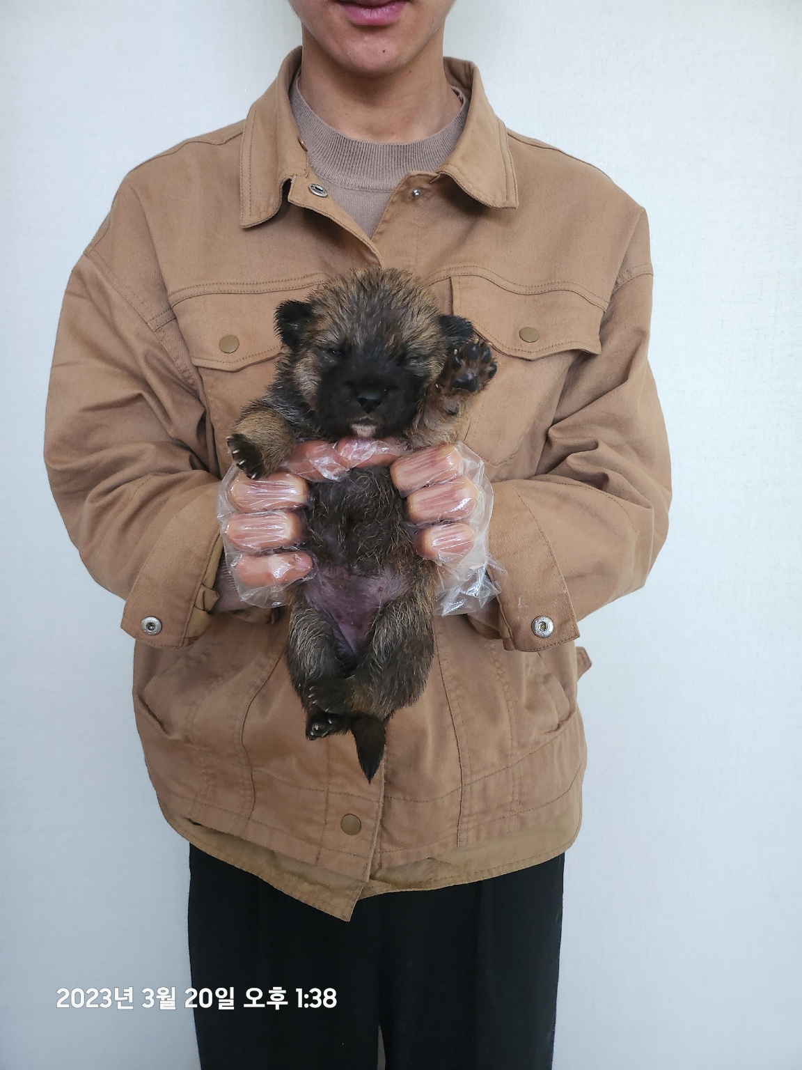 울산유기동물보호센터_431373202300221