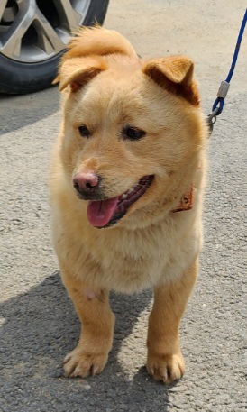 제천시 동물보호센터_443440202300062