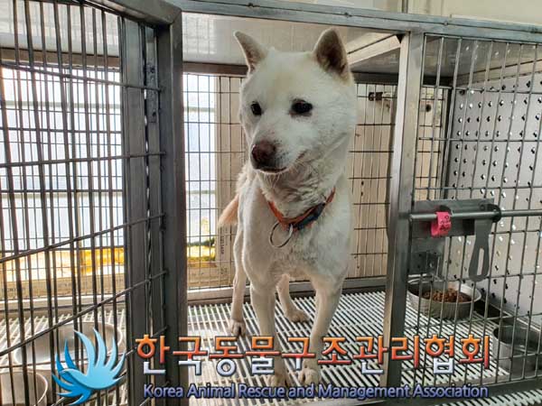 한국동물구조관리협회_411311202300141