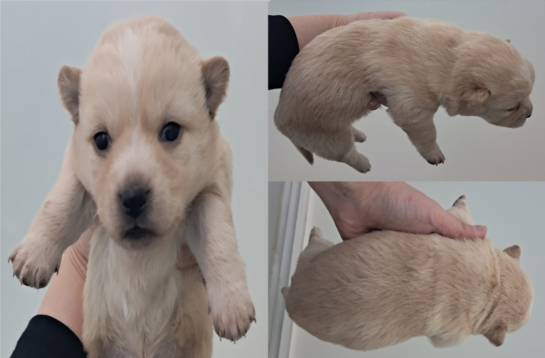 서산시 동물보호센터_444453202300121