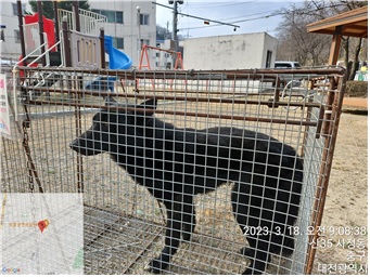 대전동물보호센터_430365202300054