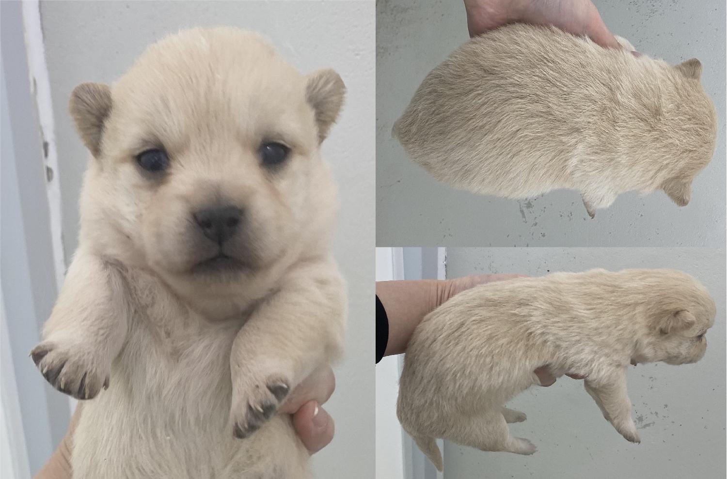 서산시 동물보호센터_444453202300122