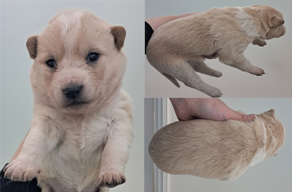 서산시 동물보호센터_444453202300120