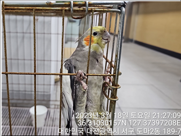 대전동물보호센터_430366202300069