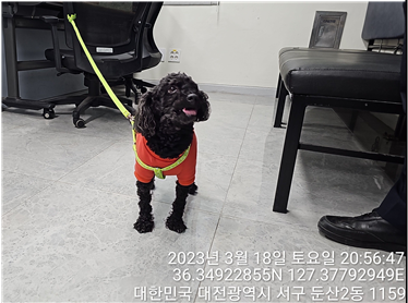 대전동물보호센터_430366202300068
