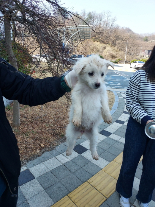 함양군위탁보호소_448546202300100