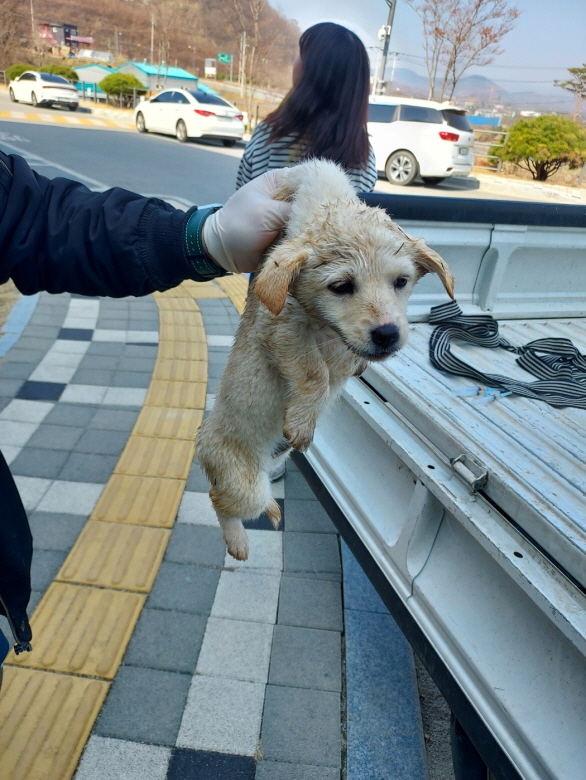 함양군위탁보호소_448546202300098