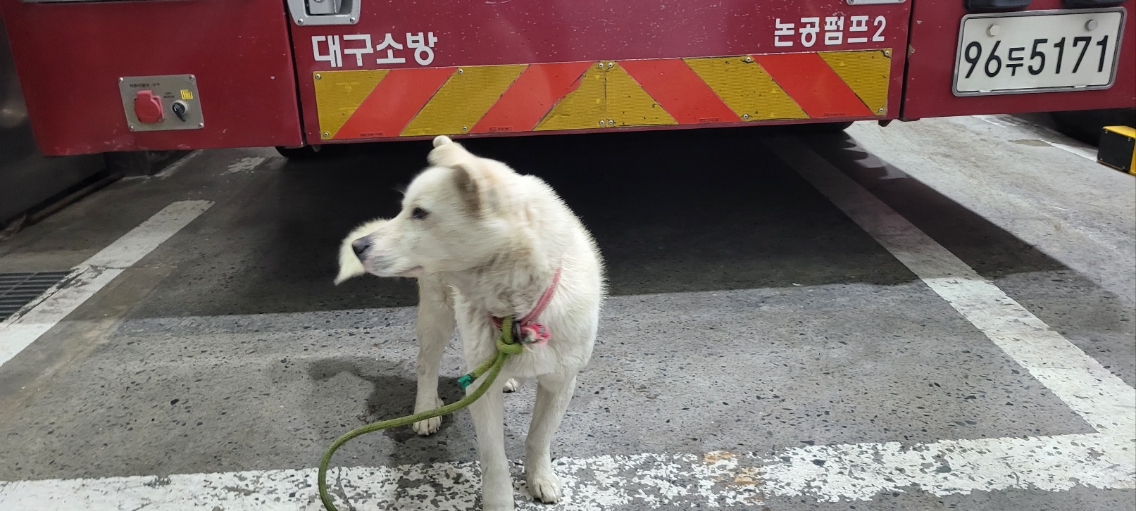 동행동물병원_427348202300102