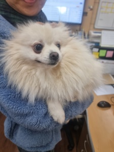 제주 동물보호센터_450650202300846