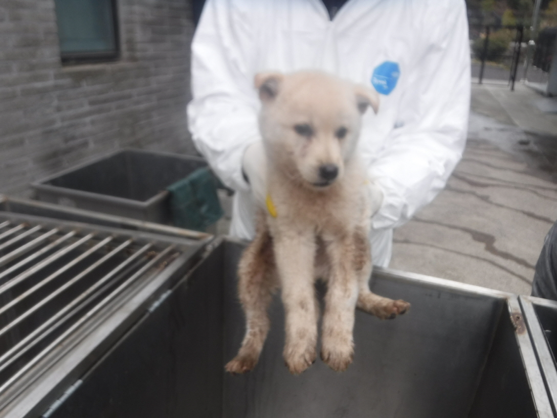제주 동물보호센터_450650202300850