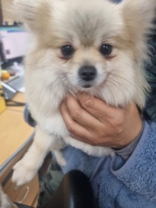 제주 동물보호센터_450650202300845