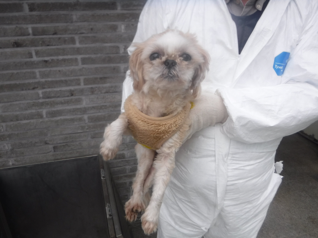 제주 동물보호센터_450650202300869