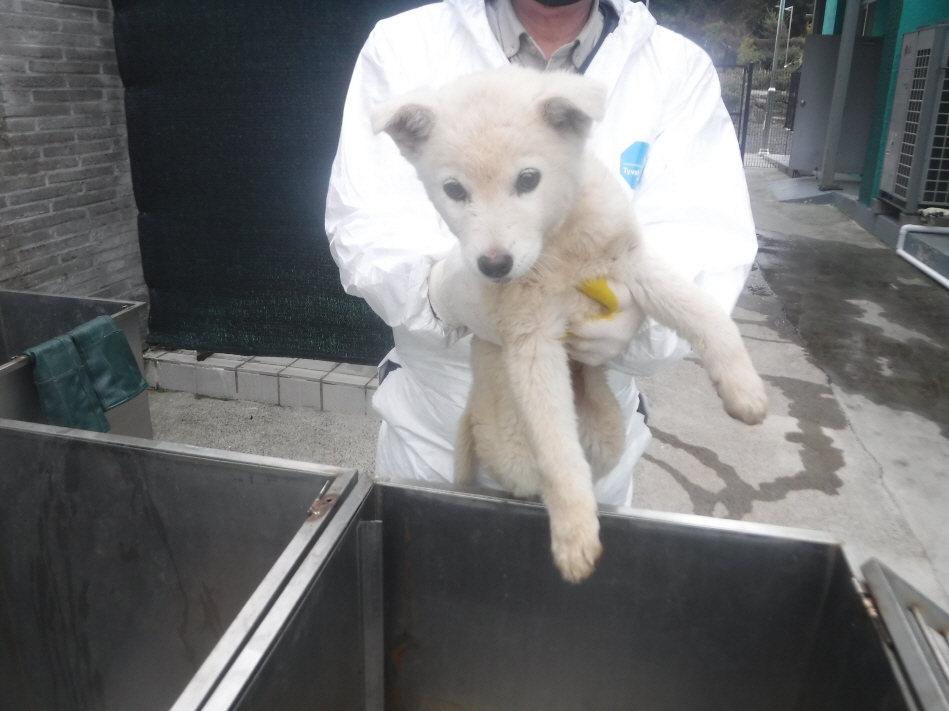 제주 동물보호센터_450650202300851
