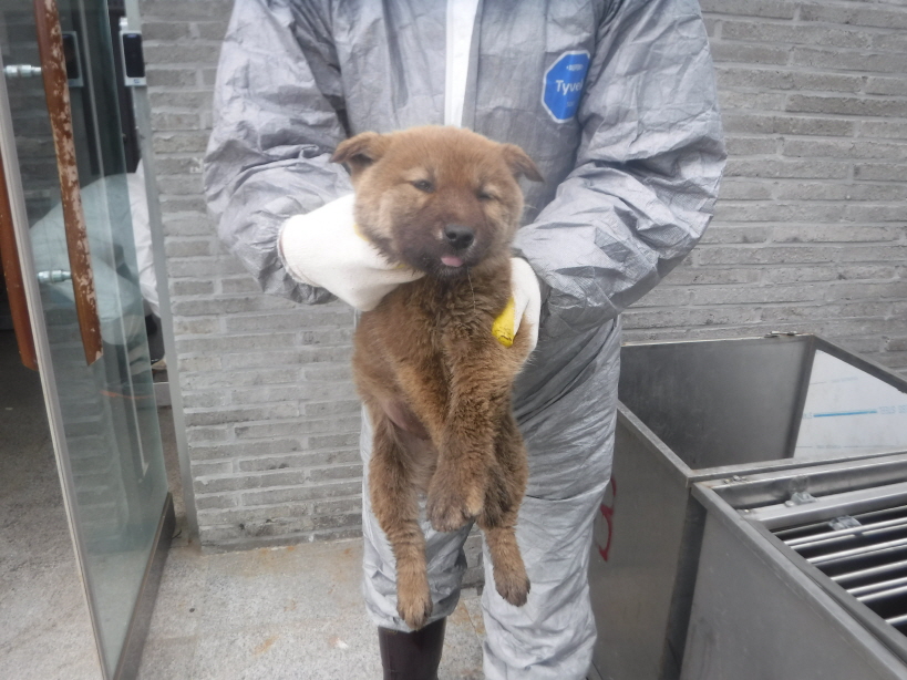 제주 동물보호센터_450650202300865