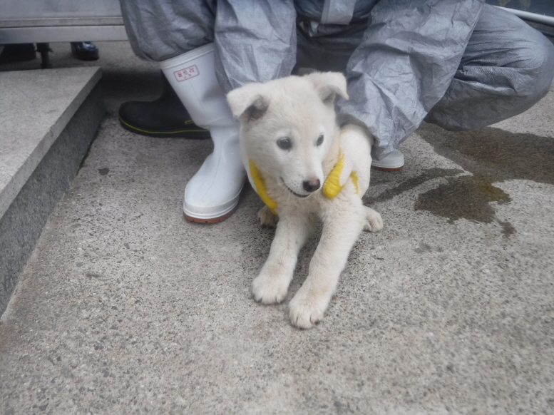 제주 동물보호센터_450650202300849