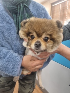 제주 동물보호센터_450650202300844