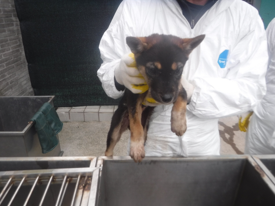 제주 동물보호센터_450650202300853