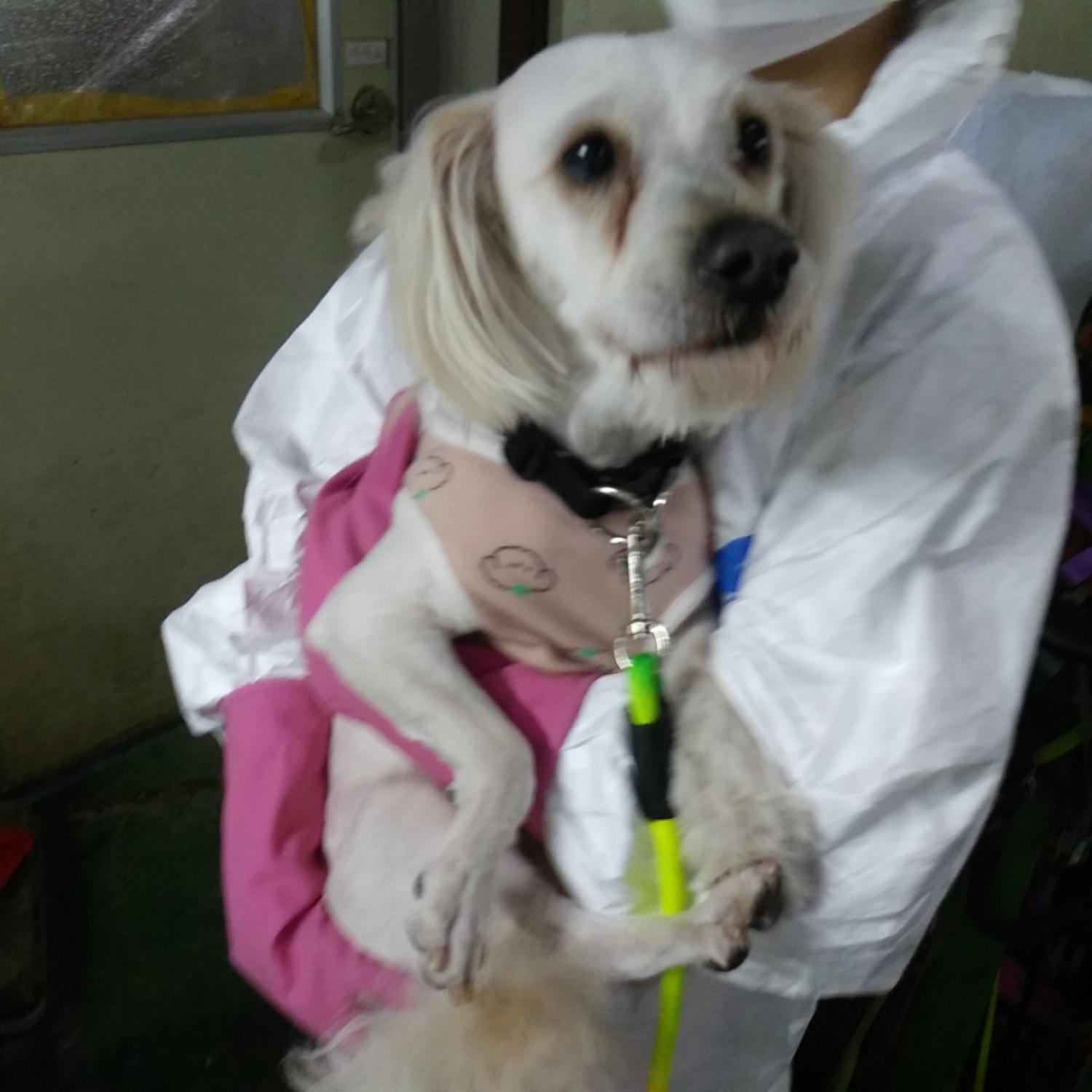 인천광역시수의사회_428351202300110