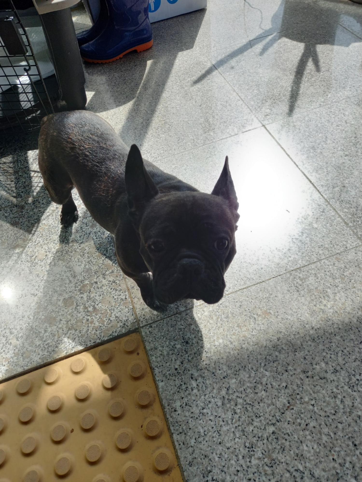 구미시 동물보호센터_447508202300586