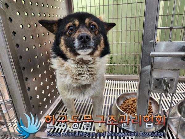 한국동물구조관리협회_441392202300032