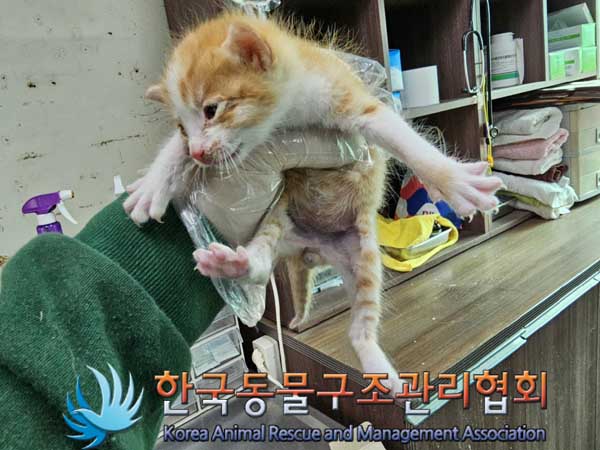 한국동물구조관리협회_411315202300157