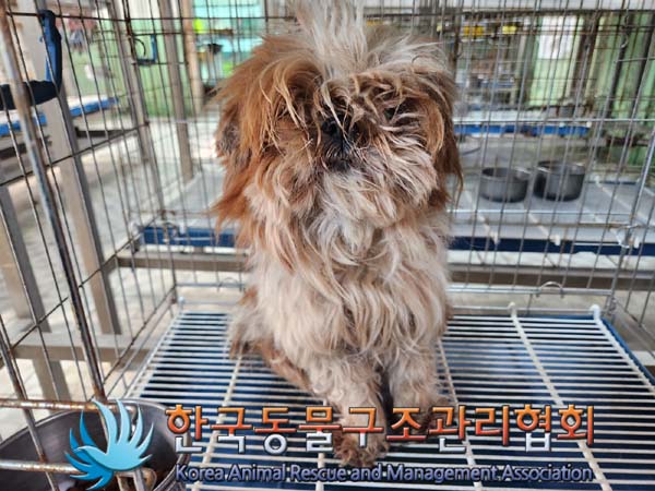 한국동물구조관리협회_441414202300116