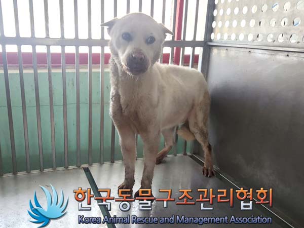 한국동물구조관리협회_441414202300118