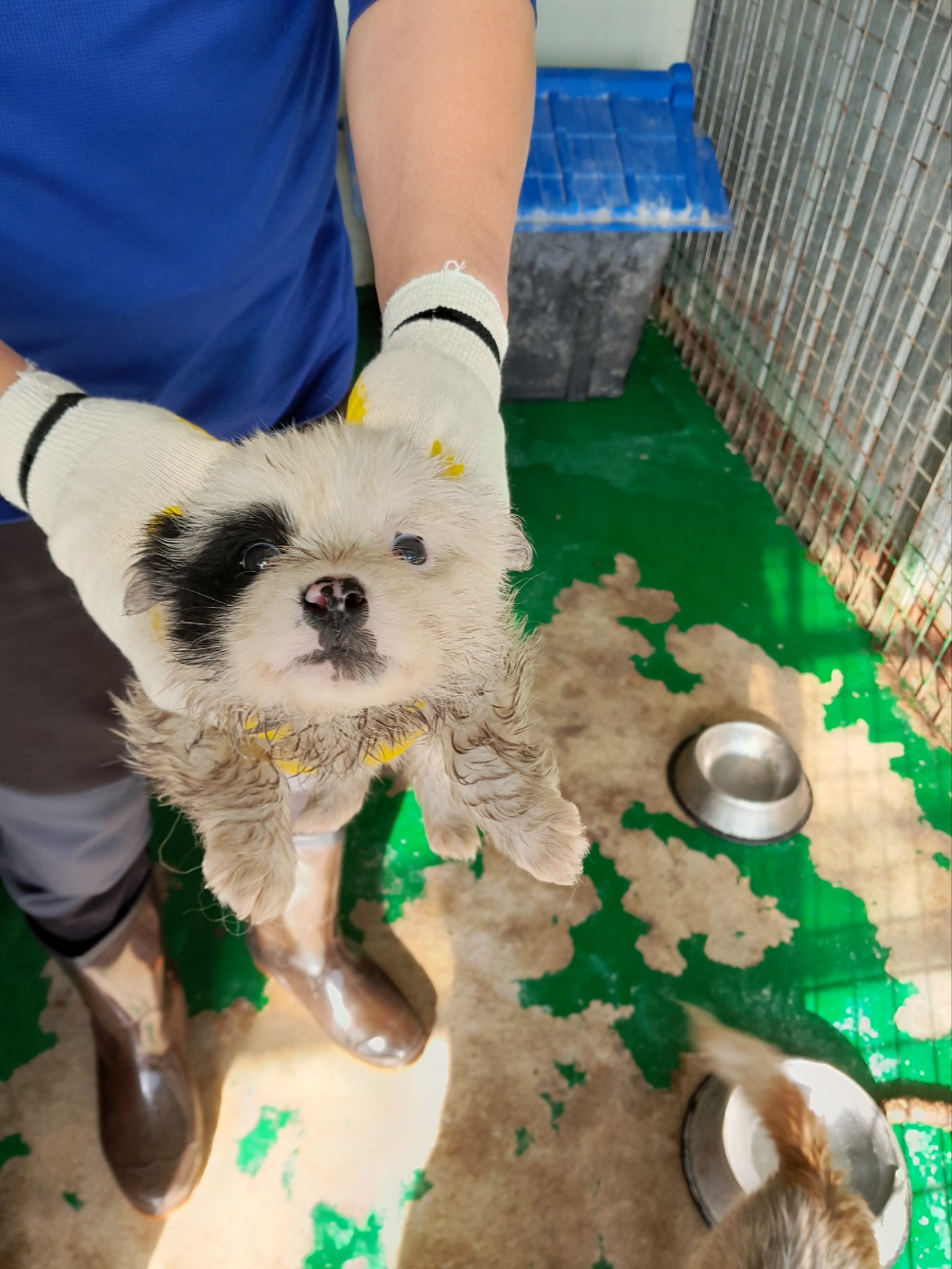예천군유기동물보호소_447523202300301