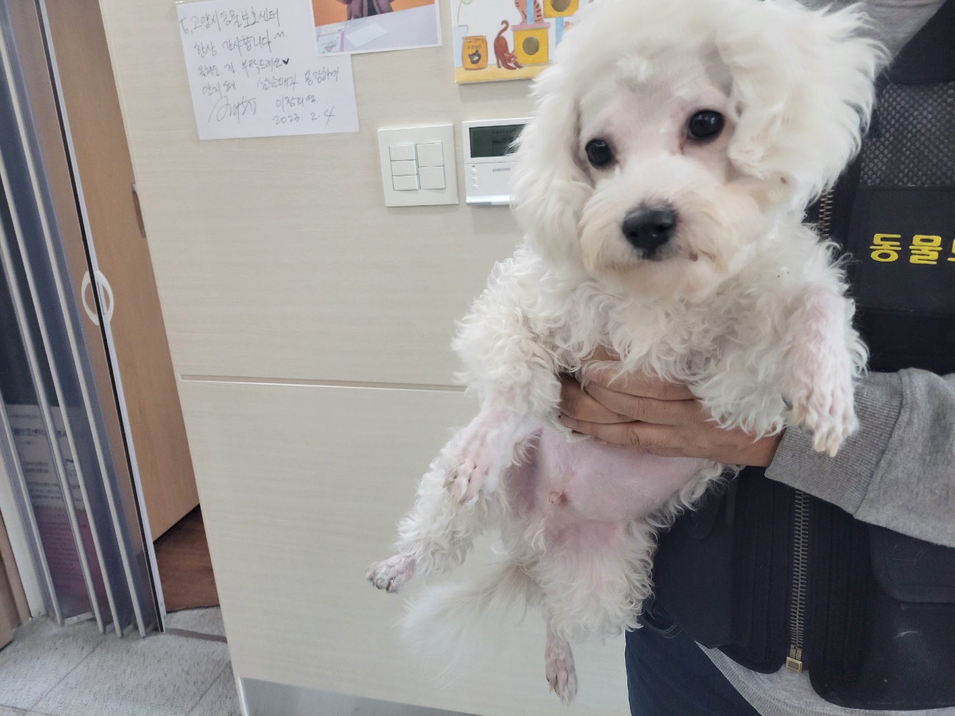 고양시동물보호센터_441394202300399