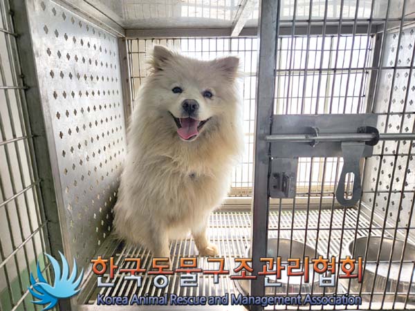 한국동물구조관리협회_441406202300285