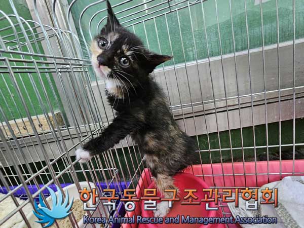 한국동물구조관리협회_411323202300063