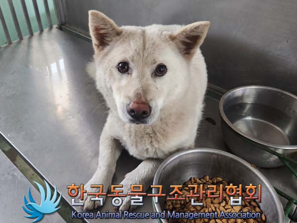 한국동물구조관리협회_441414202300117