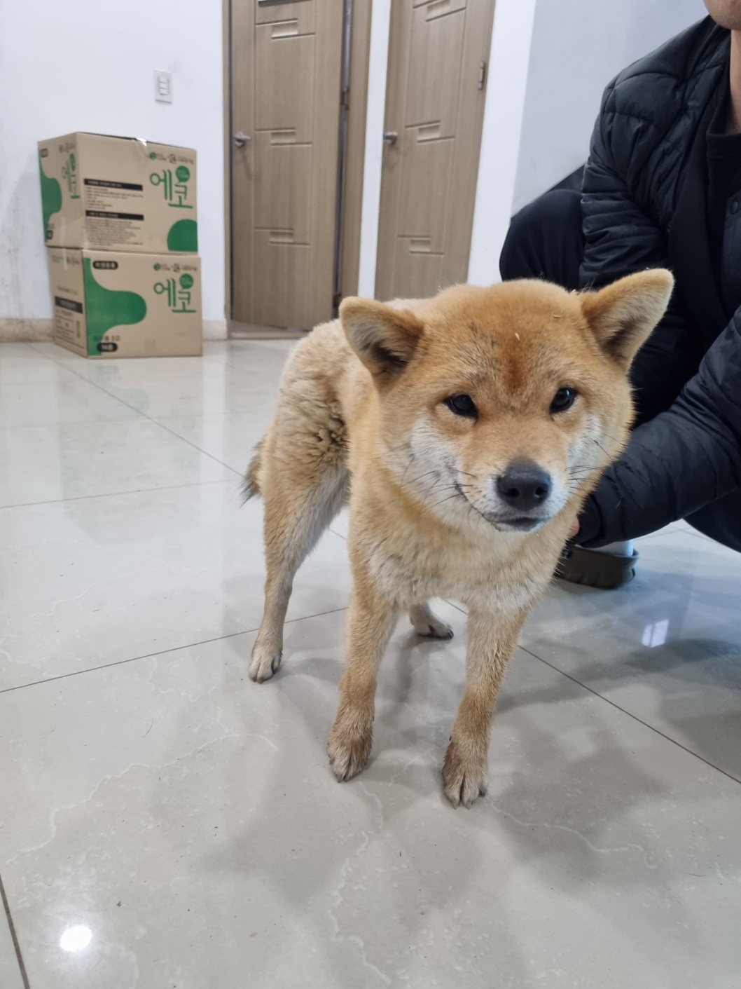반려동물보호센터_443571202300475
