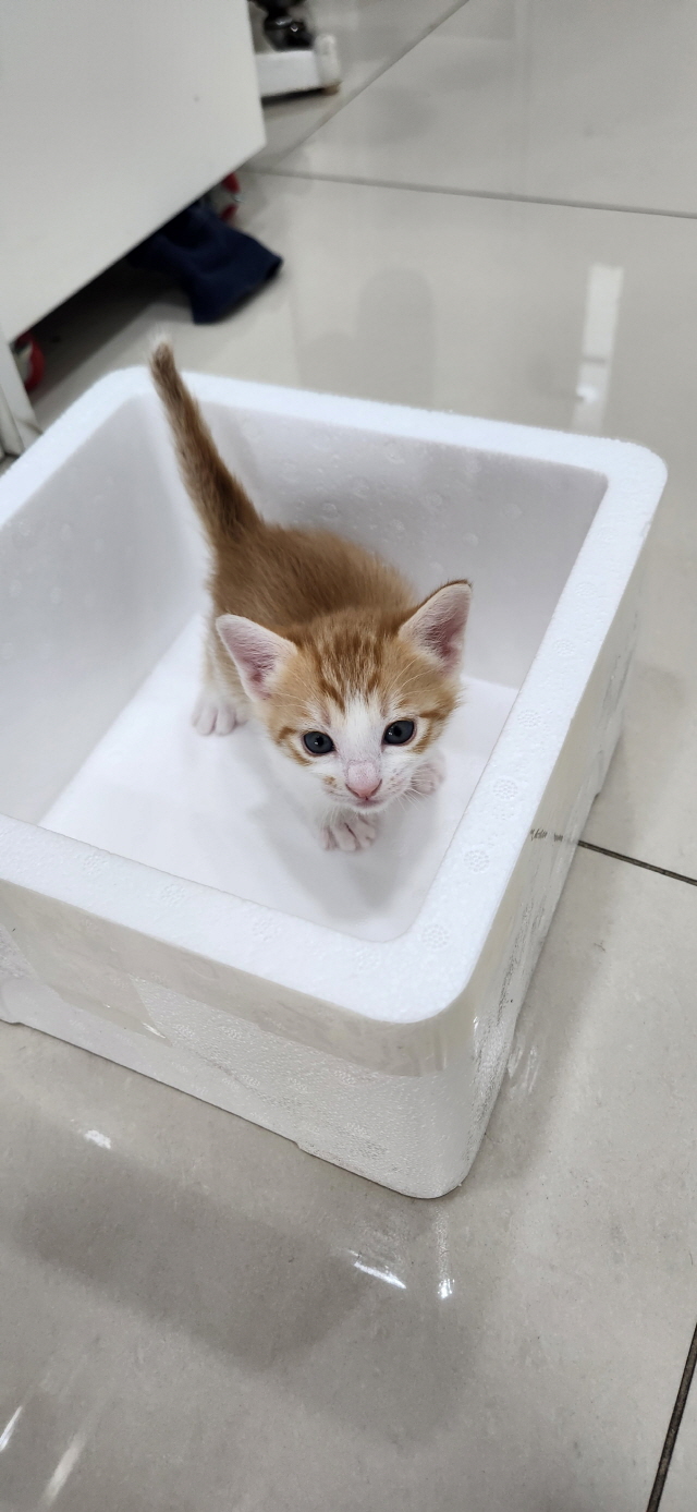 익산유기동물보호소_445468202300323