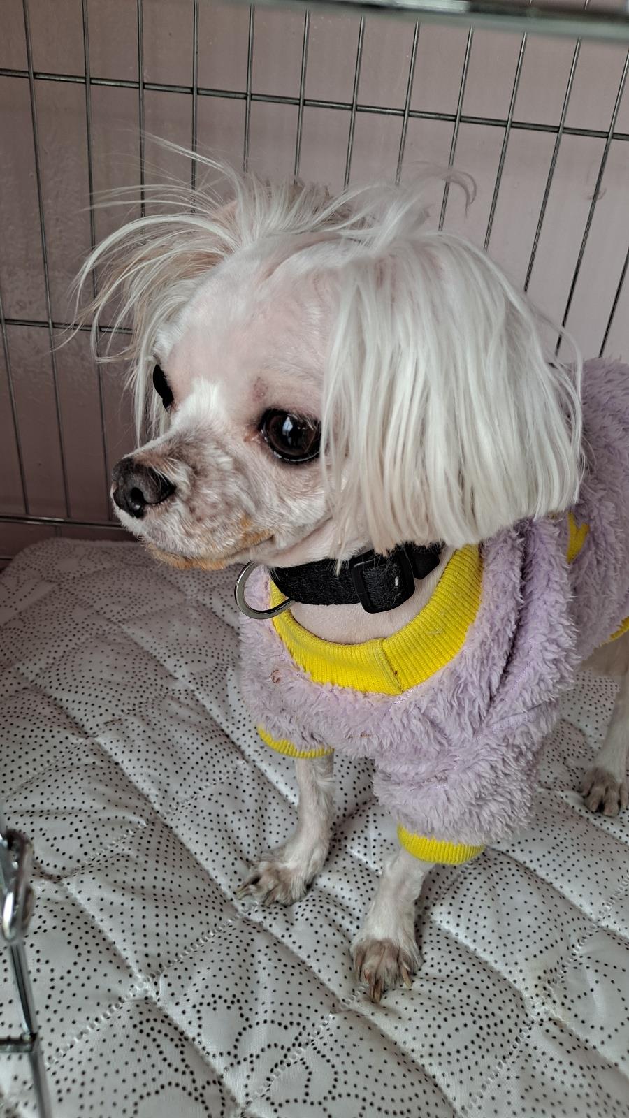 동물보호관리협회_426329202300051