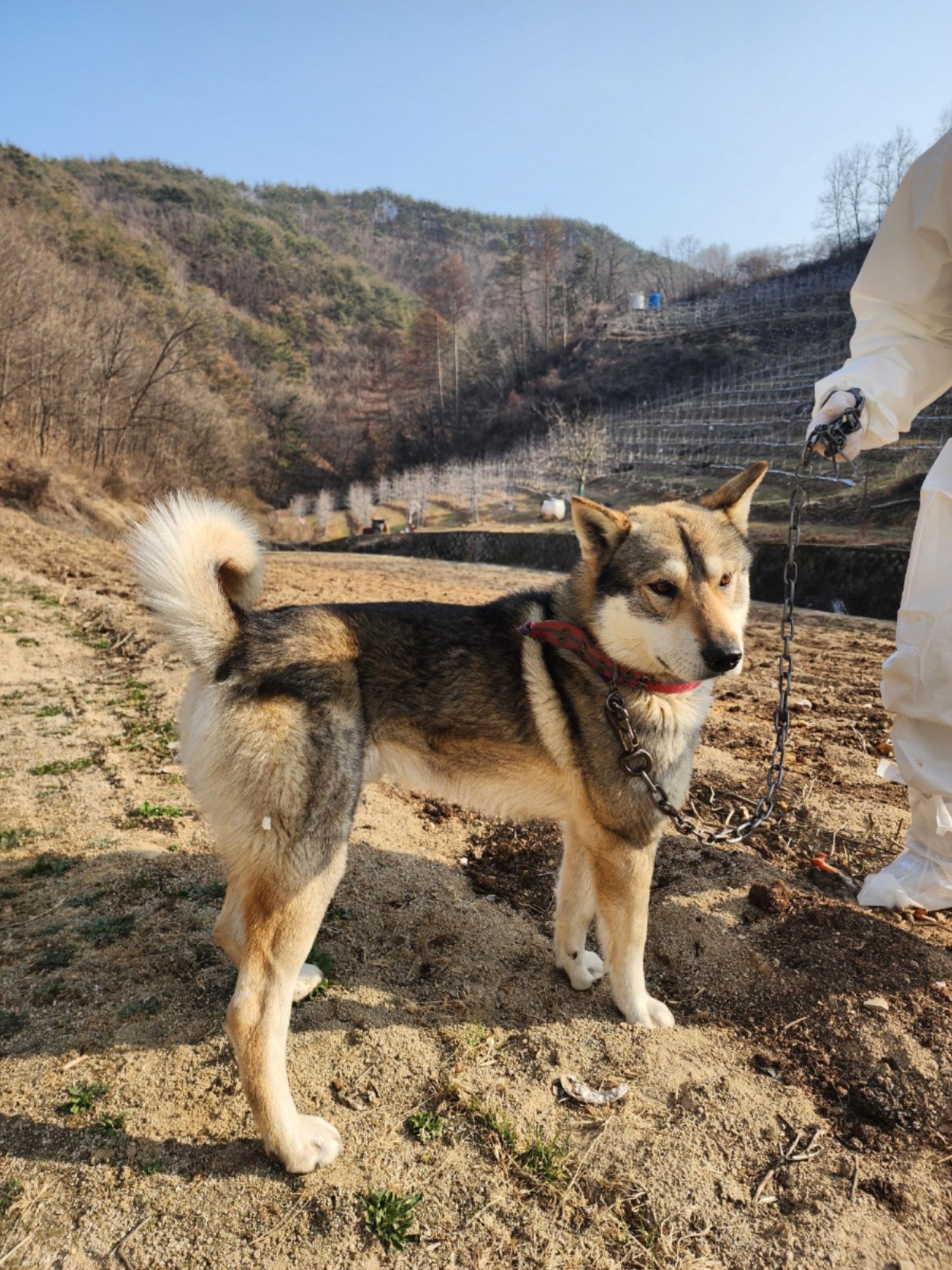 점곡보호소_447516202300052