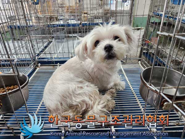 한국동물구조관리협회_411305202300067
