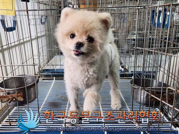 한국동물구조관리협회_411306202300178