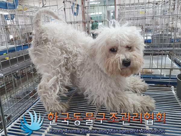 한국동물구조관리협회_441559202300111