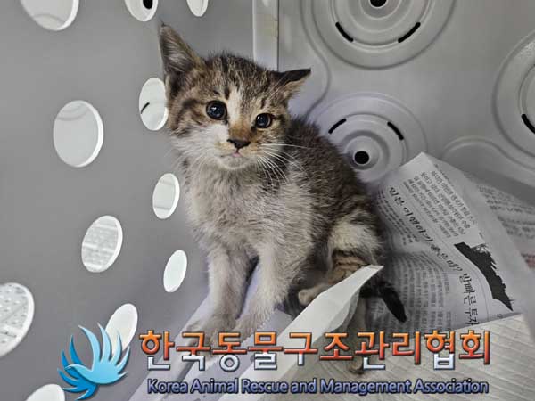 한국동물구조관리협회_411315202300160