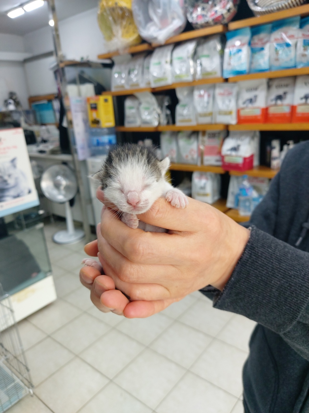 우리동물병원_428356202300383