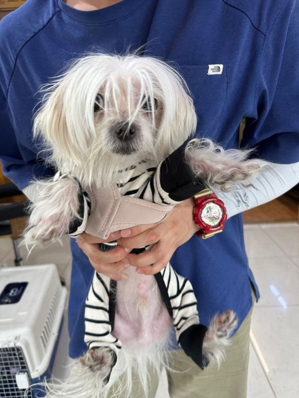 이성준동물병원_441408202300227